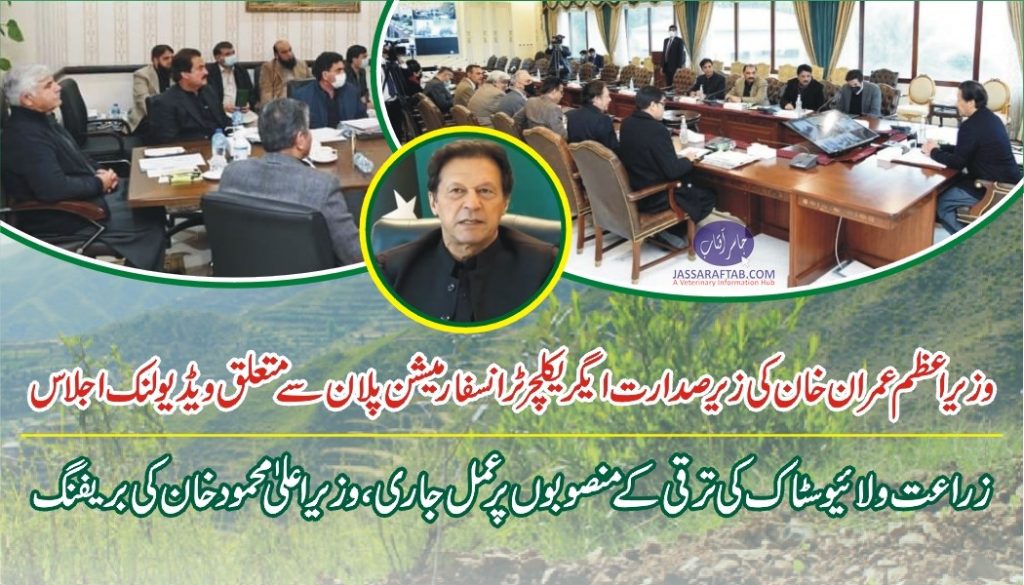 PM chaired a meeting on agricultural transformation plan