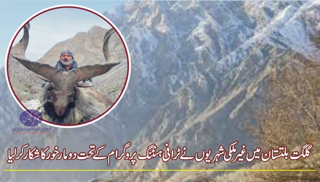 Hunting of highest rated Markhor