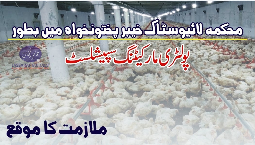 Jobs at livestock dept Peshawar