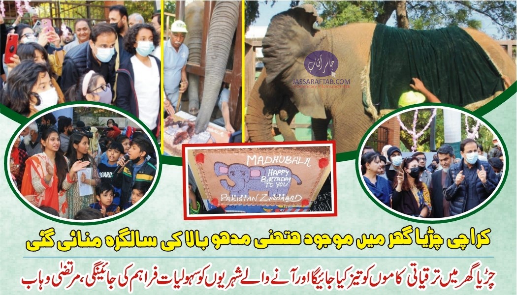 کراچی چڑیا گھر میں موجود ہتھنی مدھوبالا کی سالگرہ منائی گئی