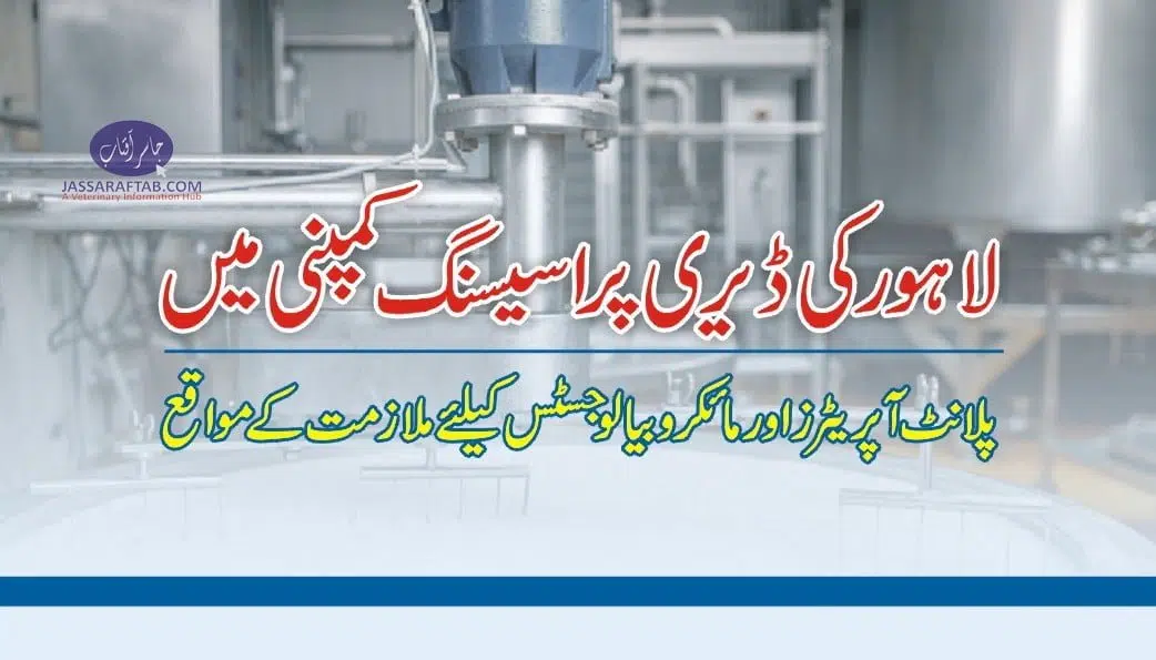 Dairy processing jobs