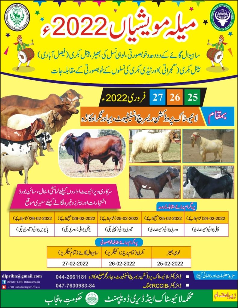 livestock competition 