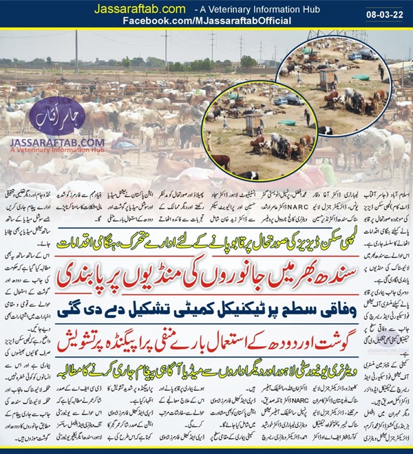 Cattle piris in Sindh