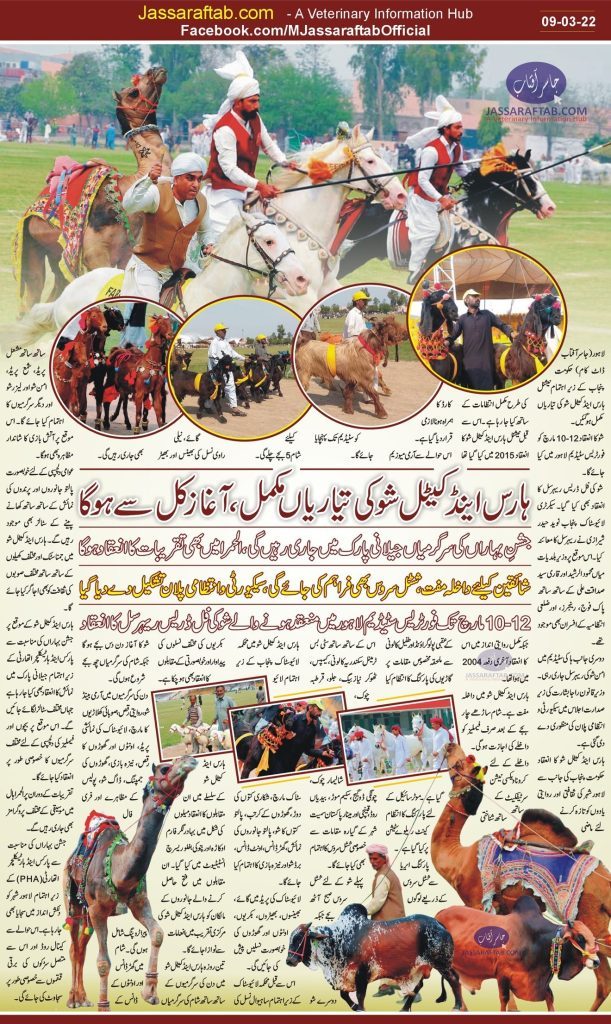 Preparations of Horse and Cattle Show