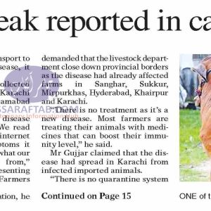 Lumpy skin disease outbread in Karachi