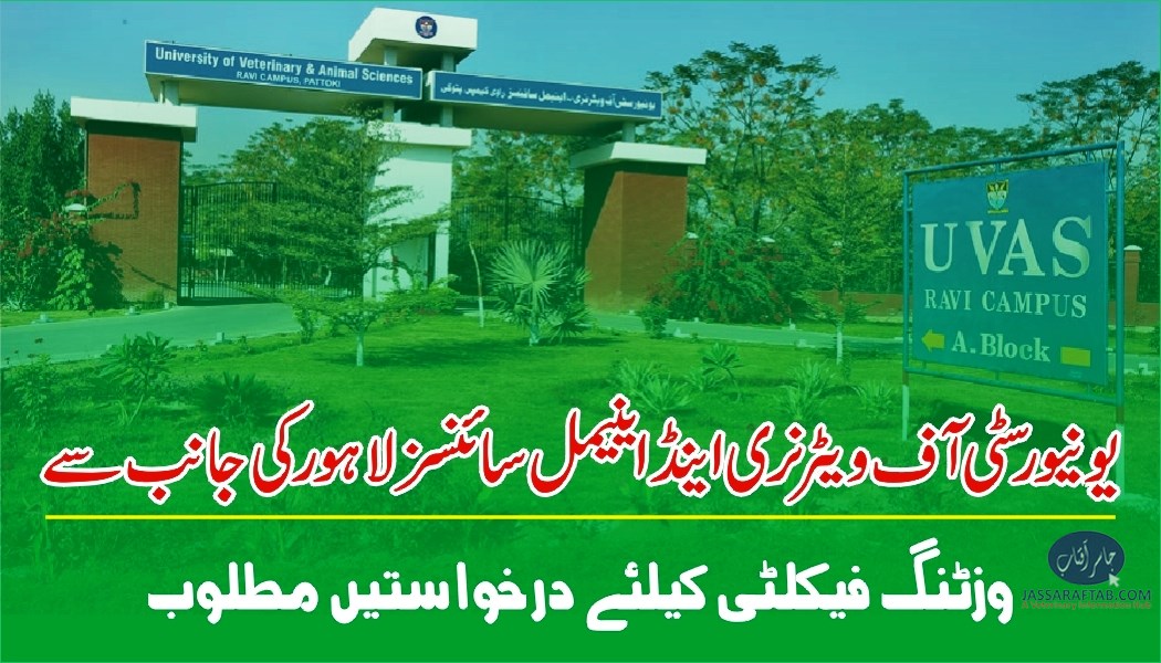 ویٹرنری یونیورسٹی لاہور کی جانب سے وزٹنگ فیکلٹی کیلئے درخواستیں مطلوب