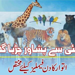 Sunday is Family Day at Peshawar Zoo | یکم مئی سے پشاور چڑیا گھر میں اتوار کا دن فیملیز کیلئے مختص
