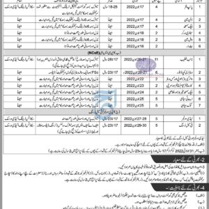 Job at Frontier Corps KP