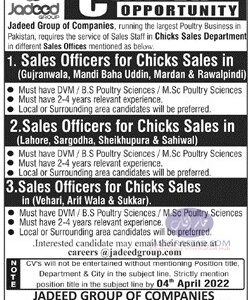 Jobs for veterinary professionals in Jadeed group