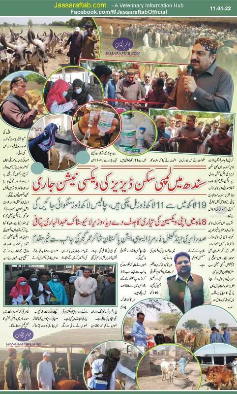 Lumpy Skin Disease Vaccination in Sindh