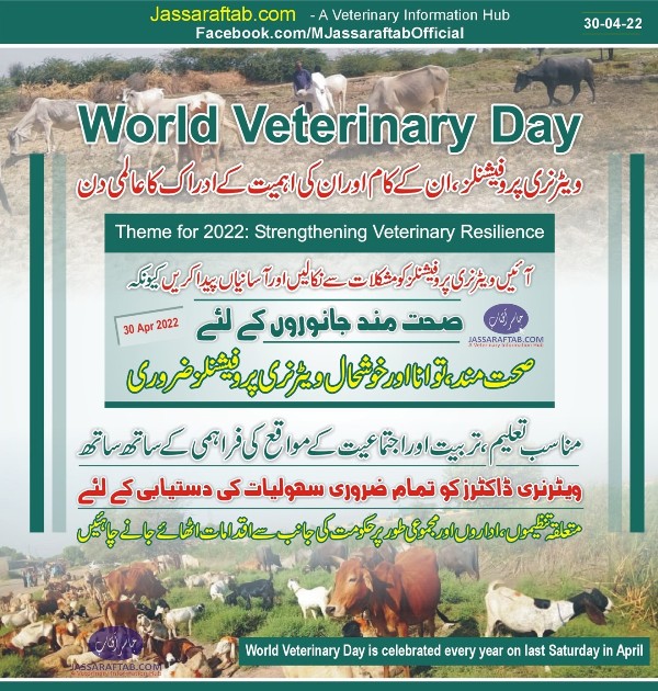 world veterinary day