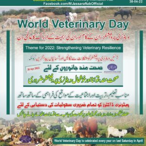 World veterinary day veterinary resilience