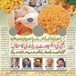 Ban on maize export demanded by Pakistan Poultry Association