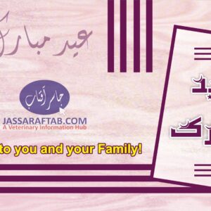 Eid Mubarak Card | Happy Eid to you and your Family | عید مبارک