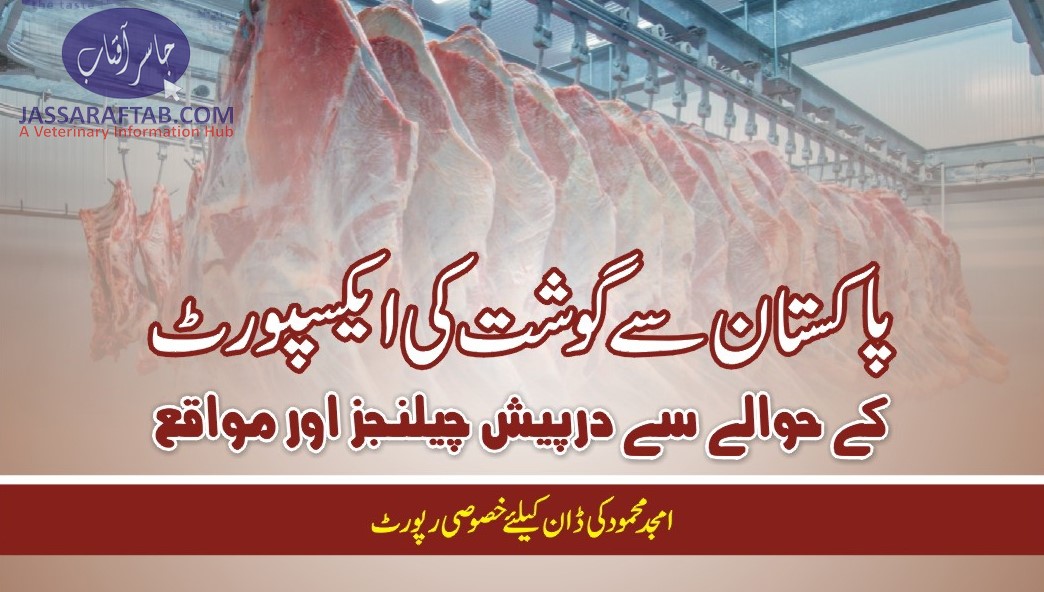 پاکستان سے گوشت کی ایکسپورٹ کے حوالے سے درپیش چیلنجز اور مواقع