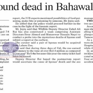 Hyenas found dead in Bahawalpur zoo