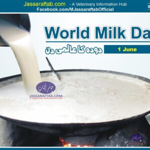 World Milk Day 2022 | دودھ کاعالمی دن
