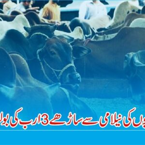 Cattle markets fee collection auctioned for Rs3.4bn