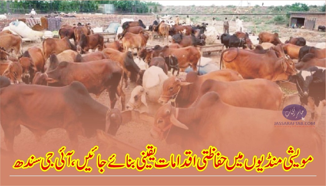 مویشی منڈیوں میں حفاظتی اقدامات یقینی بنائے جائیں،آئی جی سندھ