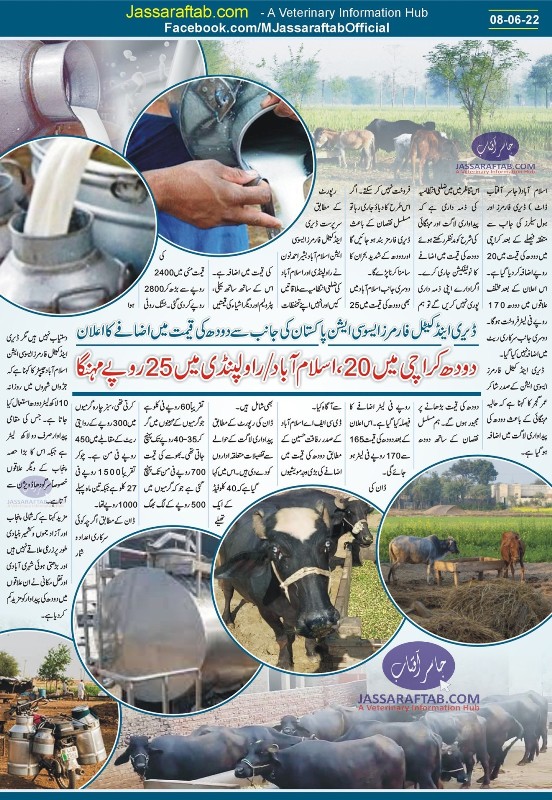 کراچی اور اسلام آباد میں دودھ کی قیمت میں اضافے کا اعلان