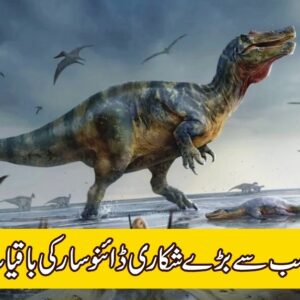 Largest predatory dinosaur found