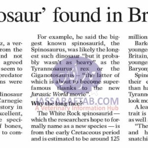 Remains of Europe's largest predator dinosaur discovered
