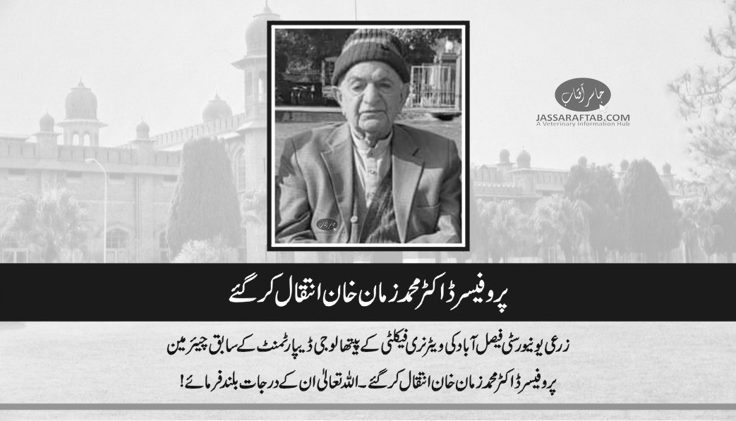 پروفیسر ڈاکٹر زمان خان انتقال کر گئے