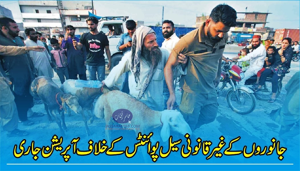 جانوروں کے غیر قانونی سیل پوائنٹس کے خلاف آپریشن جاری