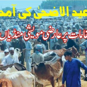 Cattle markets at different places in Quetta