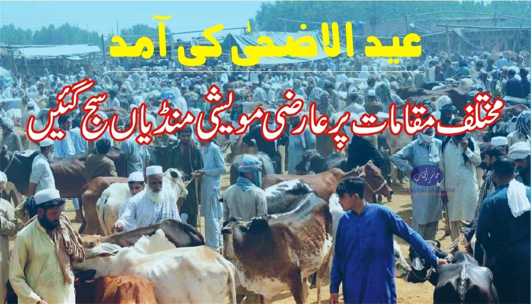 عید الاضحیٰ کی آمد ،مختلف مقامات پر عارضی مویشی منڈیاں سج گئیں