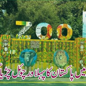 Virtual Zoo in Pakistan - Virtual zoo in Islamabad