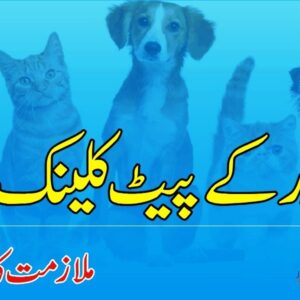 Lahore Pet Clinic Job