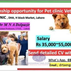 Job opportunity at Lahore Pet Clinic
