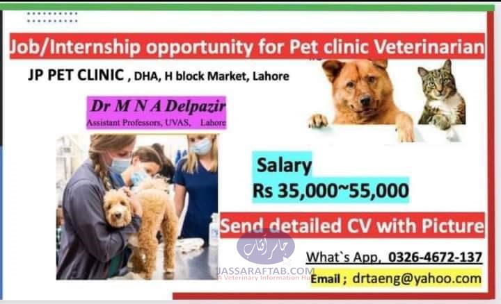 Job oppoertunity at Lahore Pet Clinic