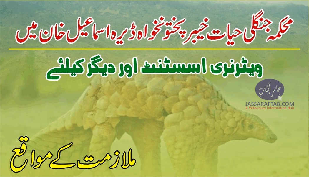 محکمہ جنگلی حیات خیبرپختونخواہ ڈیرہ اسماعیل خان میں ملازمت کے مواقع