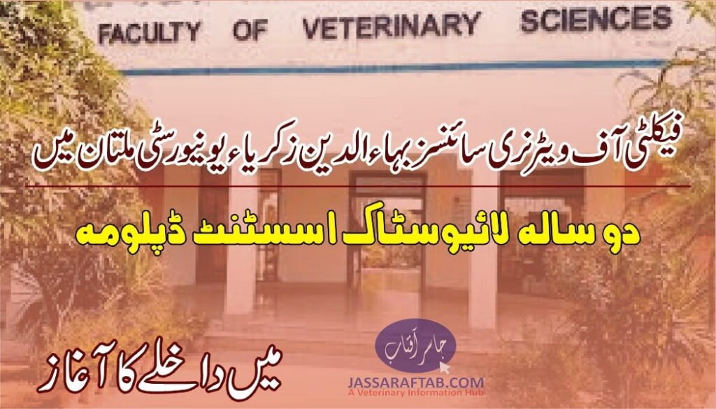 LAD Admission | BZU Admission| BZU Livestock Assistant Diploma Admissions