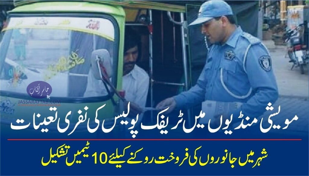 Traffic police deployed in cattle markets