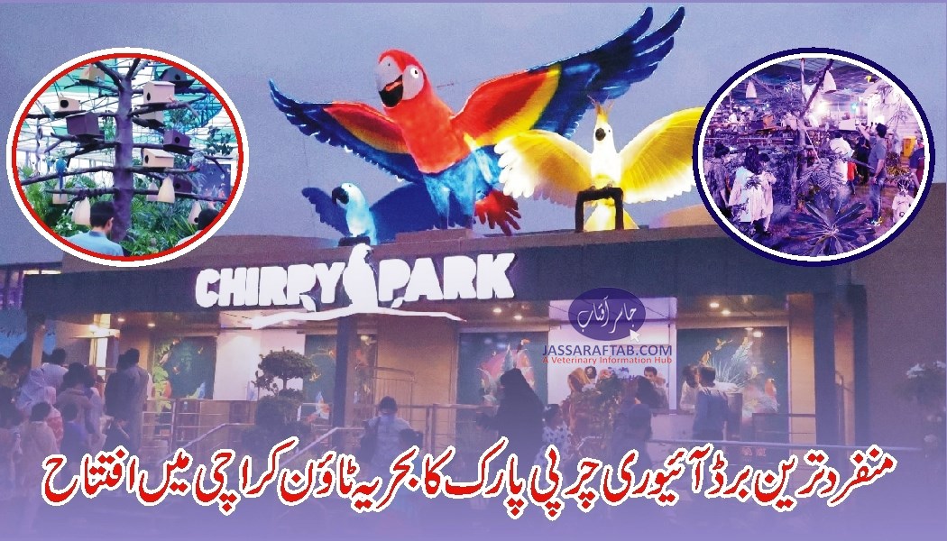 بحریہ ٹاؤن کراچی میں برڈ آئیوری چرپی پارک کا افتتاح