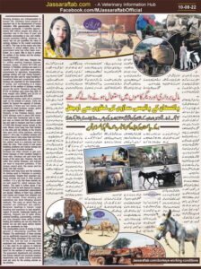 Working conditions of donkeys in Pakistan and Donkey welfare issues