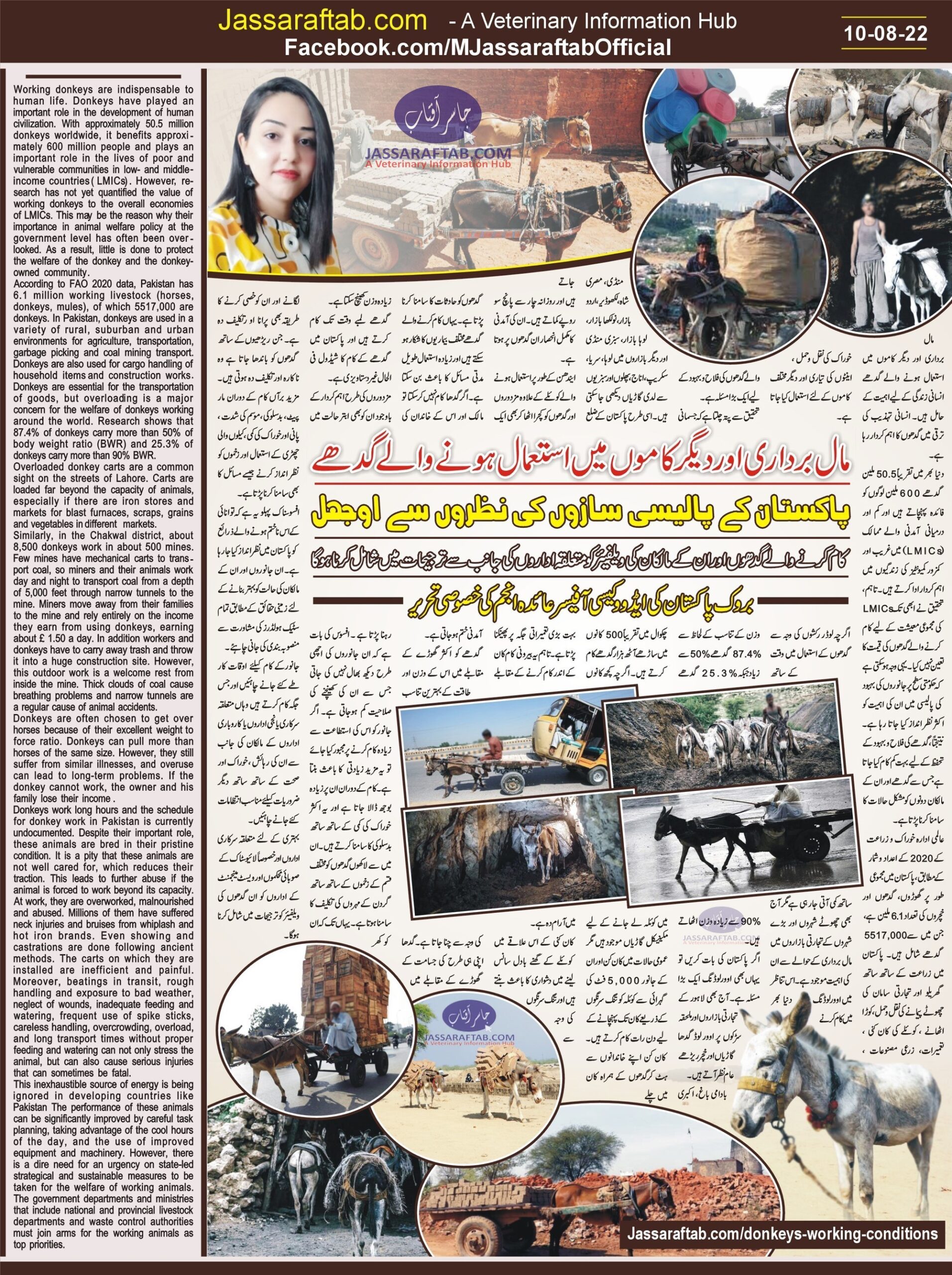 Condition of Working Donkeys in Pakistan and Donkey Welfare. Welfare of donkeys