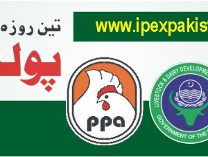 IPEX Pakistan Ad 2022