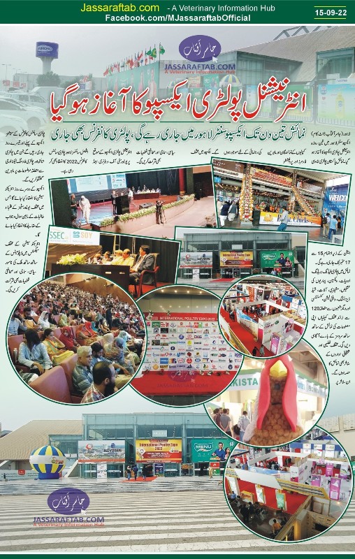 poultry expo