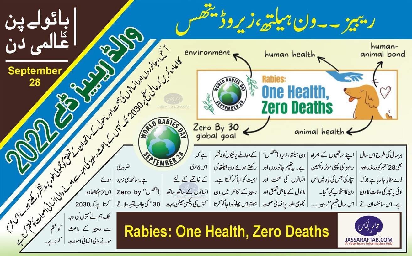 World Rabies Day Theme 2022