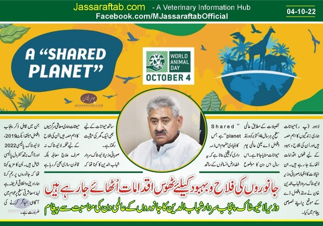 جانوروں کے عالمی دن کی مناسبت سے وزیر لائیوسٹاک پنجاب کا پیغام
