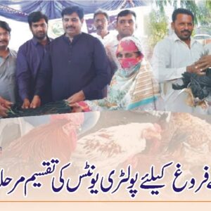 Poultry units distribution in Faisalabad