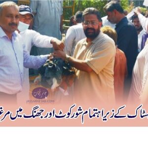 Distribution of Poultry Birds in Jhang