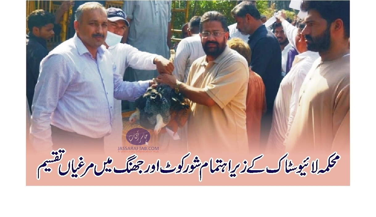Distribution of Poultry Birds in Jhang