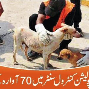 Stray Dogs Population Control Centre