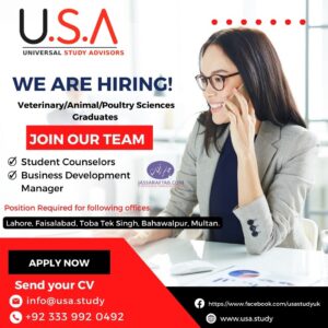 Study Consultant Jobs for vets