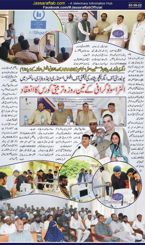 Veterinary ultrasound training in Peshawar